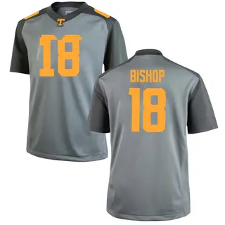 Game Men's DeSean Bishop Tennessee Volunteers Nike College Jersey - Gray