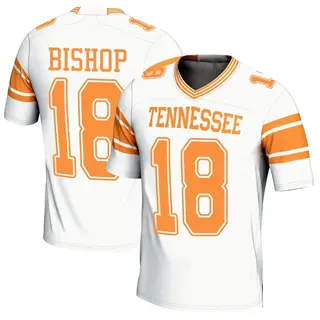 Game Men's DeSean Bishop Tennessee Volunteers Replica 2nd Football Jersey - White