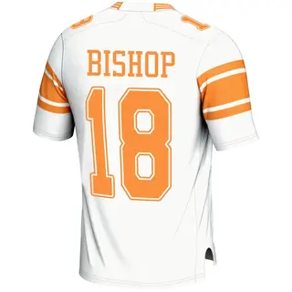 Game Men's DeSean Bishop Tennessee Volunteers Replica 2nd Football Jersey - White