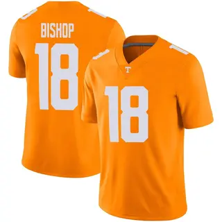 Game Youth DeSean Bishop Tennessee Volunteers Nike Football Jersey - Orange