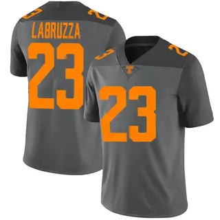 Limited Men's Cheyenne Labruzza Tennessee Volunteers Nike Football Jersey - Gray