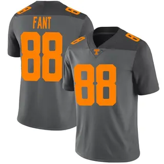 Limited Men's Princeton Fant Tennessee Volunteers Nike Football Jersey - Gray
