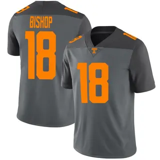 Limited Youth DeSean Bishop Tennessee Volunteers Nike Football Jersey - Gray